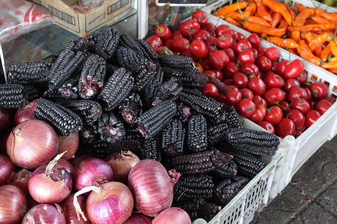 Private Tour: Santiago like a Local - The guide can shape the whole day