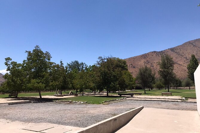 Private Tour to Viña Santa Rita - Key points to know before booking