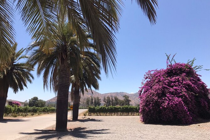 Private Tour to Viña Santa Rita - The three-wine tasting and keepsake glass