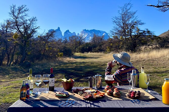 Private Tour Torres del Paine Experience - What the $531 Price Really Buys You