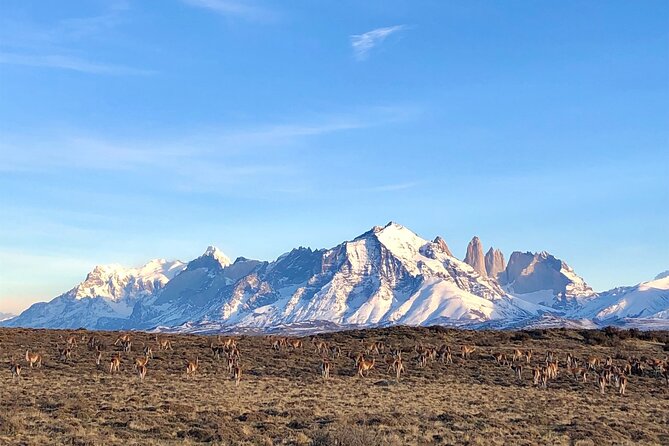 Private Tour Torres del Paine Experience - Hotel Lago Grey and the Distant Glacier View