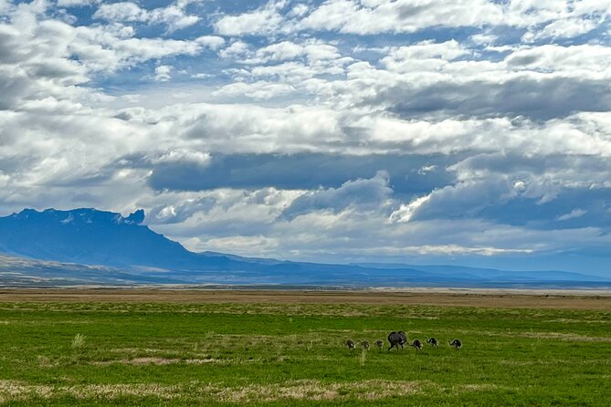 Private Tour Torres del Paine Experience - Nordenskjold Lake and the Paine River Waterfall