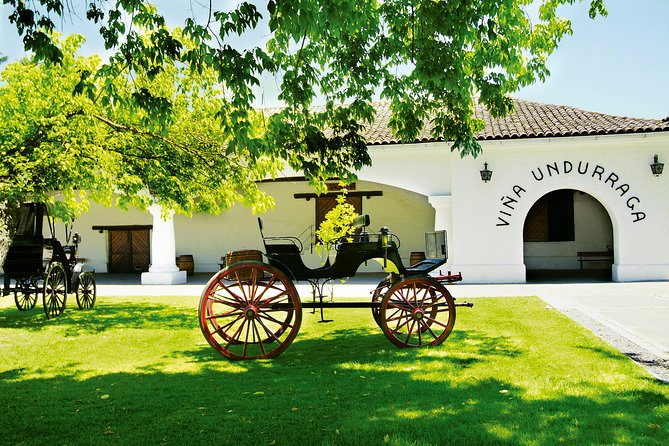 Private Tour: Undurraga Vineyard Experience with Premium Wine Tasting - Four reserve wines and a useful souvenir