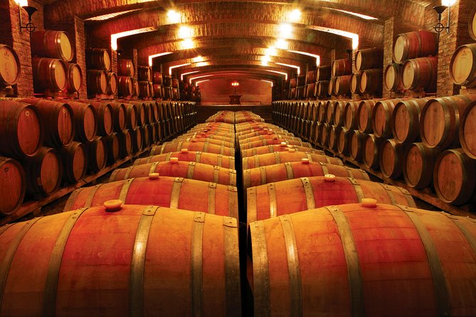 Private Tour: Undurraga Vineyard Experience with Premium Wine Tasting - Timing, clothing, and practical planning