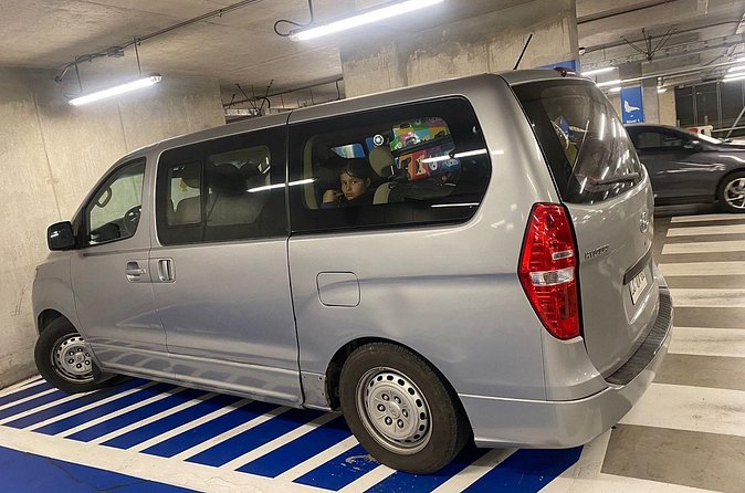 Private Transfer from Airport to Santiago, Chile - Leaving Arturo Merino Benítez Airport