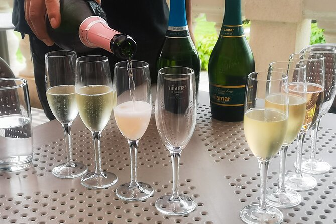 Private Valparaíso and Viña del Mar + Boat Ride + Sparkling Wine - The optional boat ride from a different angle