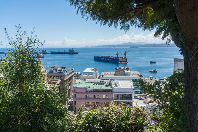 Private Valparaíso Day Tour with Wine or Coast Option - Why private transport changes the day