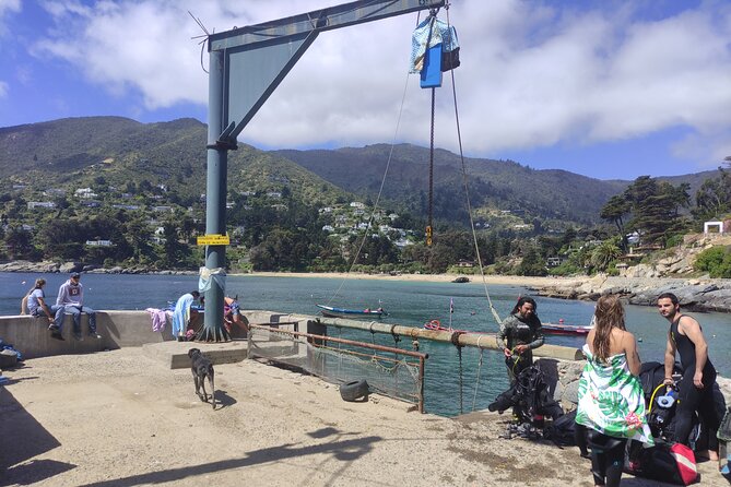Private Valparaiso, Nautic Visit Penguins Island & Horse Riding - Who will enjoy this long coastal outing