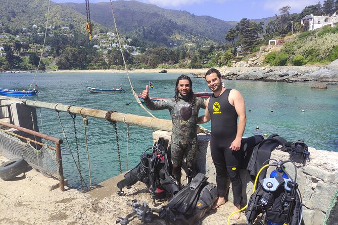 Private Valparaiso, Nautic Visit Penguins Island & Horse Riding - Timing, weather, and practical expectations