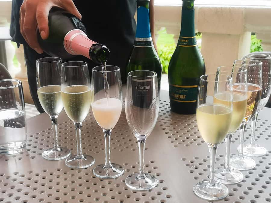 Private Valparaíso, Viña del Mar, Boat Ride & Sparkling Wine - Why This Private Day Trip Works