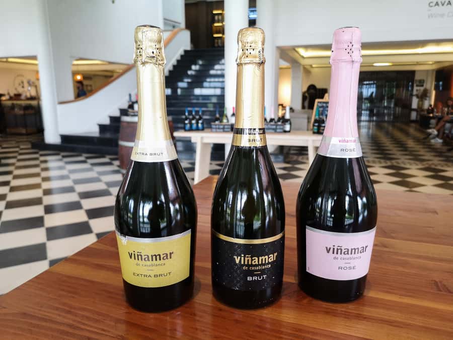 Private Valparaíso, Viña del Mar, Boat Ride & Sparkling Wine - Who Will Enjoy This Best?