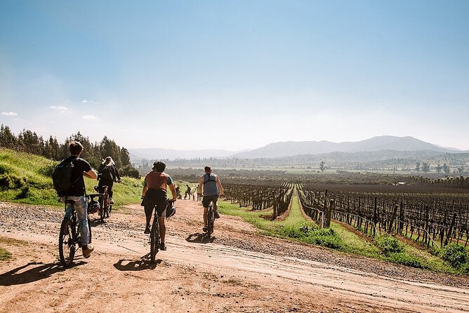 Private Valparaiso, Visit Kingston Winery & Transfer to Hotel - Who should book this experience?