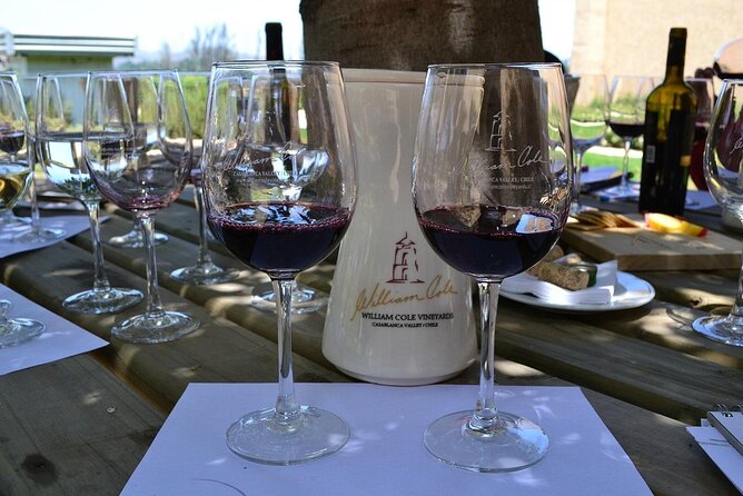 Private Valparaiso Visit William Cole Winery & Transfer to Hotel - Why this Valparaíso to Santiago outing works well