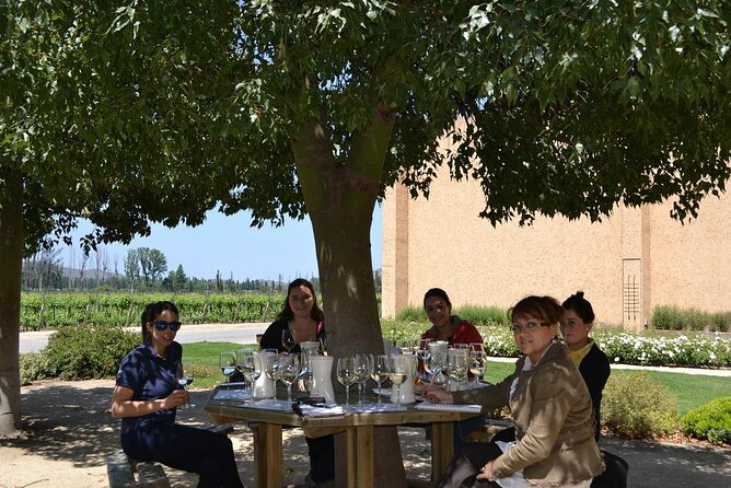 Private Valparaiso Visit William Cole Winery & Transfer to Hotel - William Cole Vineyards in Casablanca Valley