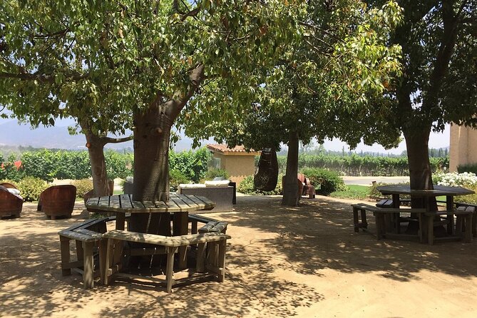 Private Valparaiso Visit William Cole Winery & Transfer to Hotel - Inside the cellar: small lots, barrels, and blending