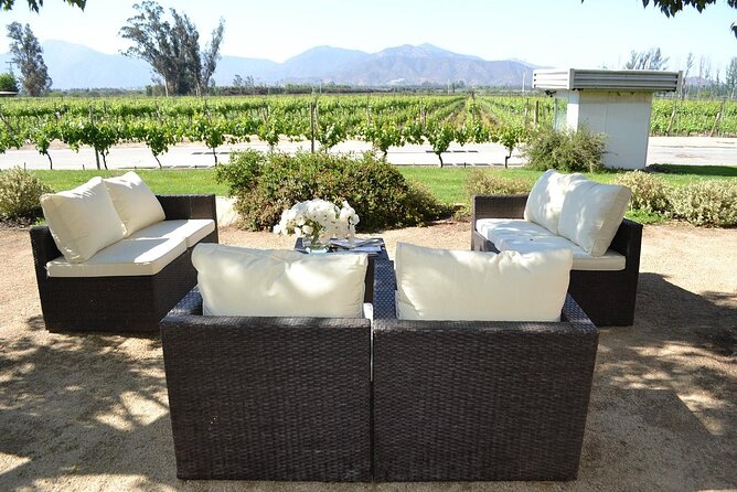 Private Valparaiso Visit William Cole Winery & Transfer to Hotel - Is $270 per person a good value?