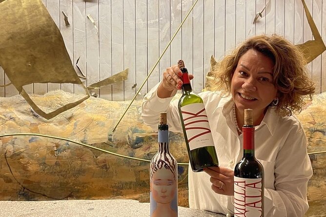 Private VIK Winery (2nd World Best Wine) & Transfer to Hotel - The five-hour winery visit, from grapes to cellar