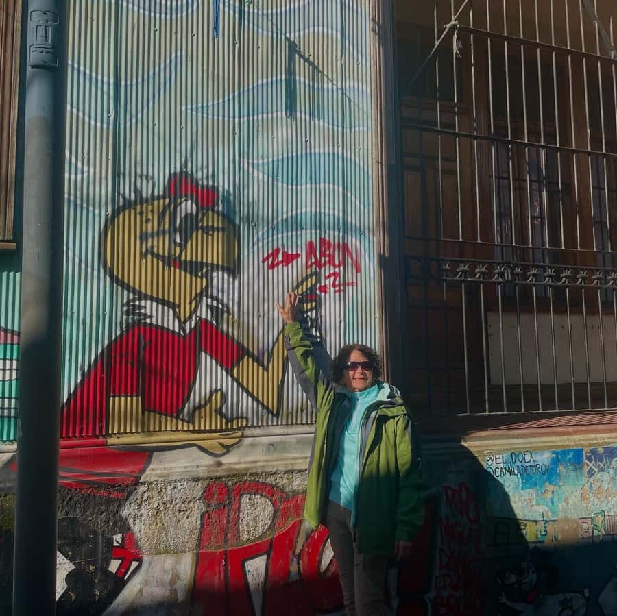 Private: Viña del Mar and Valparaiso Day Tour - Muelle Prat and the Old Port Feel