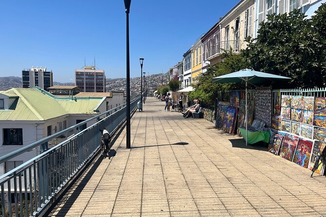 Private Visit Valparaiso, Viña Del Mar & winery From Santiago - Valparaiso’s hills, lanes, and port character