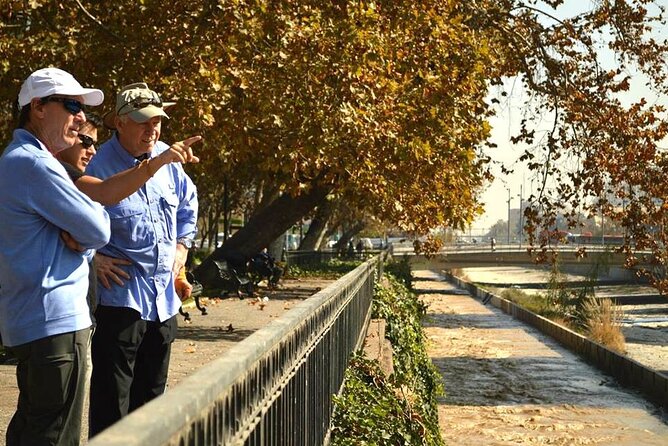 Private Walking in Santiago: Explore with a Local Expert + Lunch - Bellavista mixes murals, nightlife, and Neruda