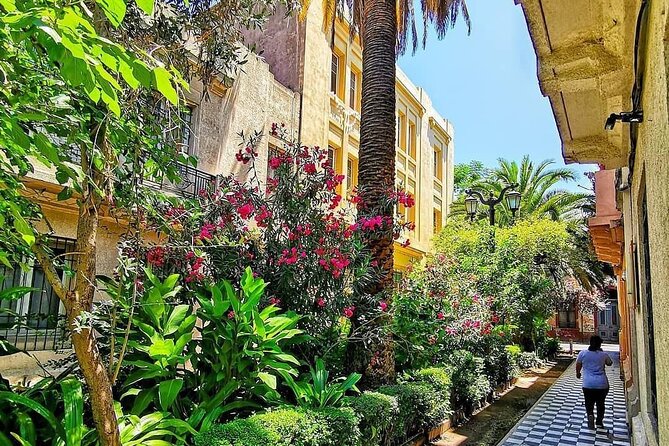 Private Walking Tour to Barrio Yungay Santiago - What the $85 price buys you
