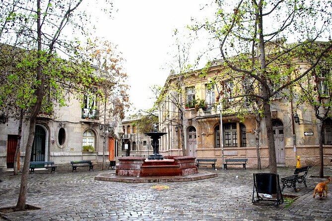 Private Walking Tour to Barrio Yungay Santiago - Who will get the most from this walk