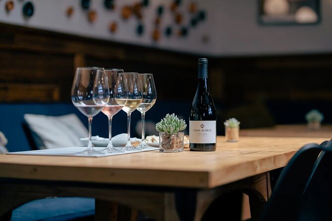 Private Wine Tour Casa Marin and Villard Wines - How to prepare for a long tasting day