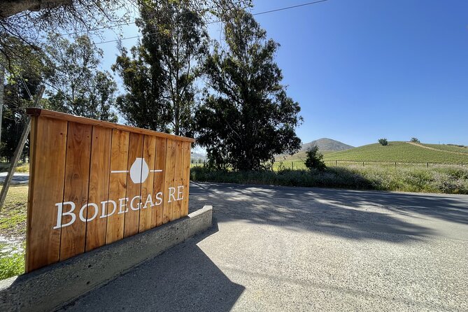 Private wine tour Casablanca valley - Key points at a glance