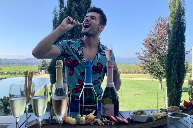 Private wine tour Casablanca valley - Who will enjoy this wine day most
