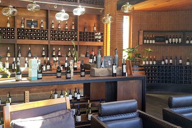 Private Wine Tour in Valparaiso - Five useful things to know before booking