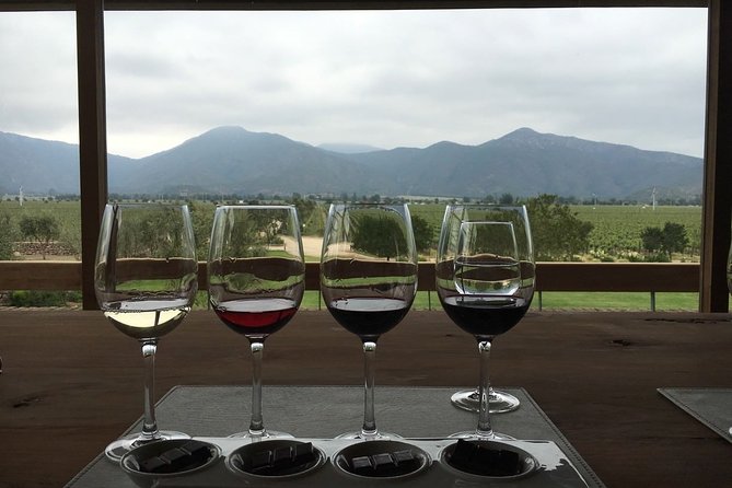 Private Wine Tour in Valparaiso - Claudia and Natalie add practical value