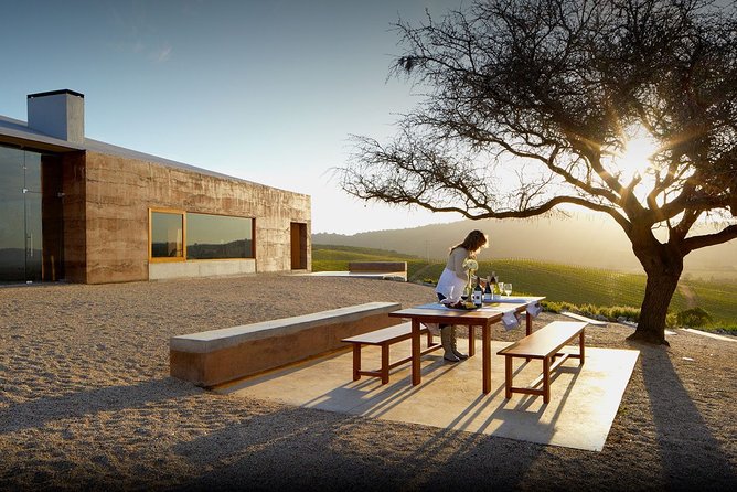 Private Wine Tour in Valparaiso - Who will enjoy this half-day wine tour?