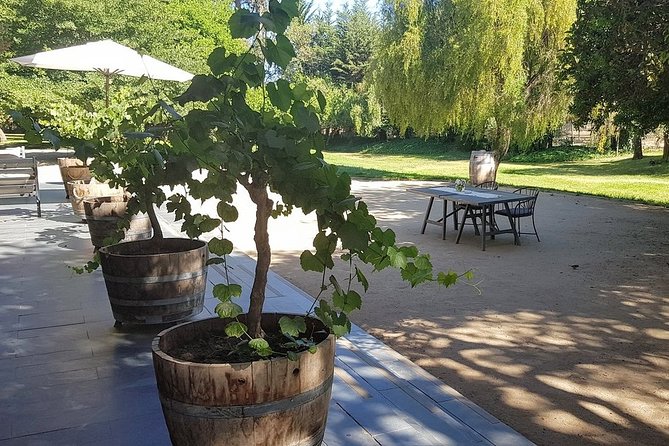Private Wine Tour in Valparaiso - The first hour: a useful transfer, not wasted time