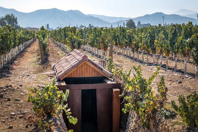 Private Winery Undurraga from Santiago - Three glasses, a gift glass, and the tasting experience