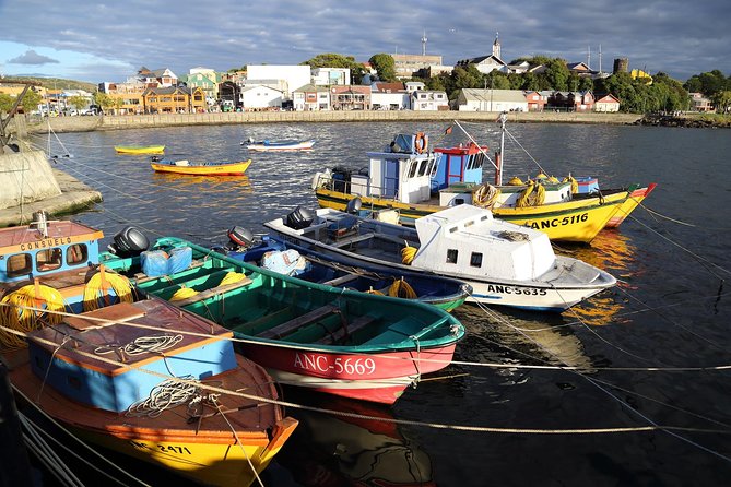 Puerto Montt: Full day Chiloe island visiting Ancud - Caulin - Lacuy - What you may miss on a northern Chiloé day