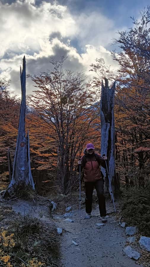 Puerto Natales: Base of the Towers Trekking Experience - Guides, language, and group pacing
