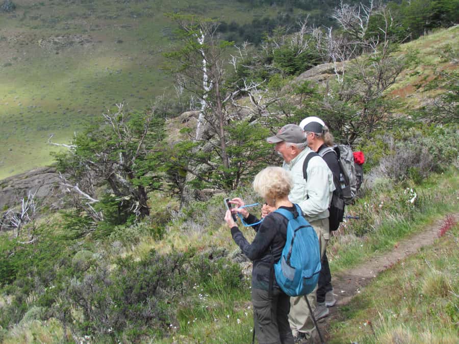 Puerto Natales: Cerro Benitez Half-Day Hike with Condors - The summit view over Lake Sofia