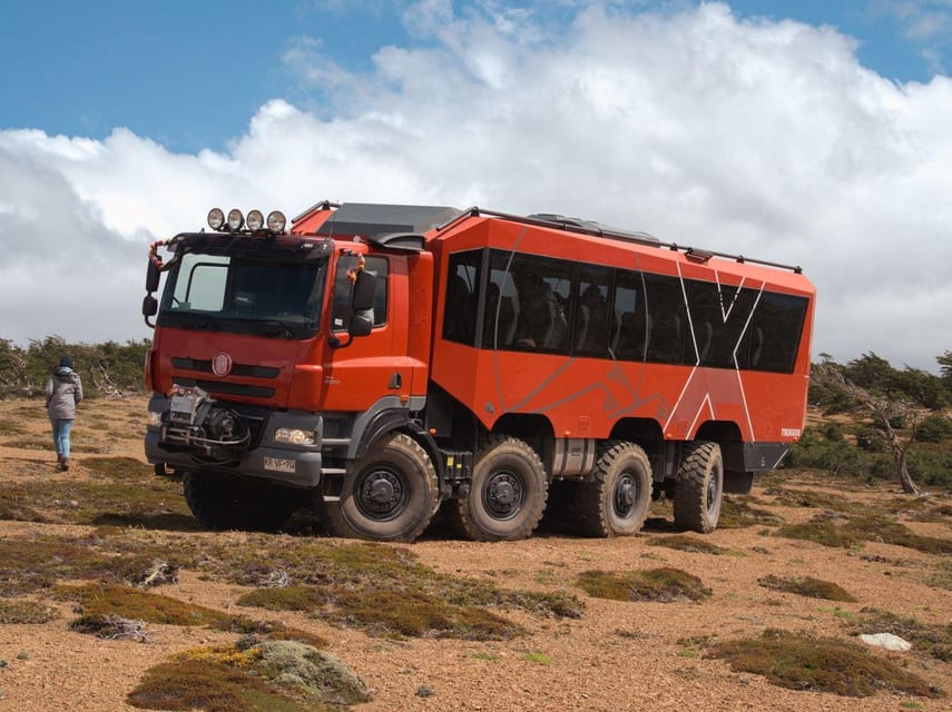 Puerto Natales: Cerro Dorotea 8x8 Tour with Panoramic Views - The 100-meter forest path to the viewpoint