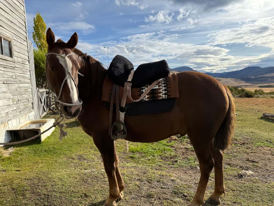 Puerto Natales: Full Day Horse Riding to the Mountains - Key points at a glance