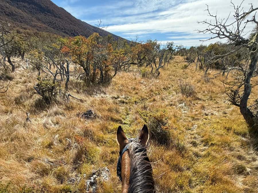 Puerto Natales: Full Day Horse Riding to the Mountains - A one-hour picnic in the countryside