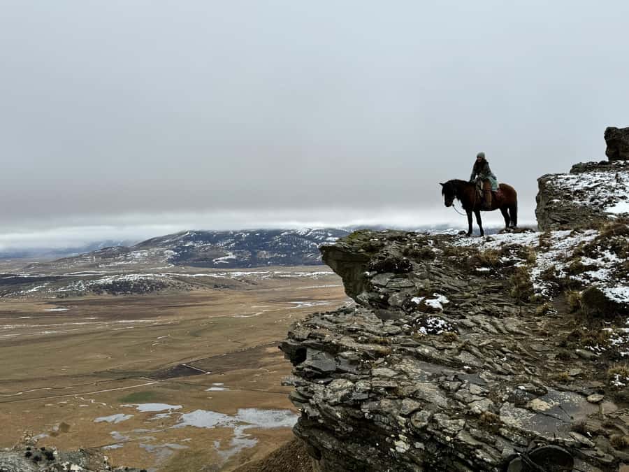 Puerto Natales: Full Day Horse Riding to the Mountains - Letting the horse choose you