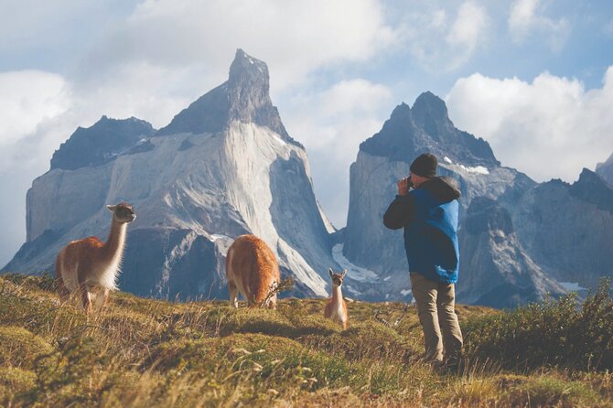 Puerto Natales Full Day Torres del Paine plus Milodon Cave - Key points to know before booking