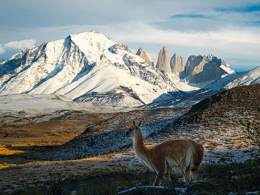 Puerto Natales: Full-Day Torres del Paine Tour - Key reasons to consider this day trip