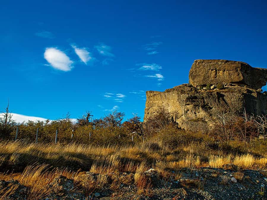 Puerto Natales: Full-Day Torres del Paine Tour - Why this 10-hour trip works from Puerto Natales