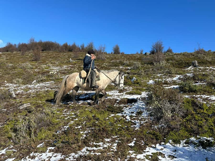 Puerto Natales: Horseback Riding to Dorotea Fjord Lookout - Key points to know before you ride