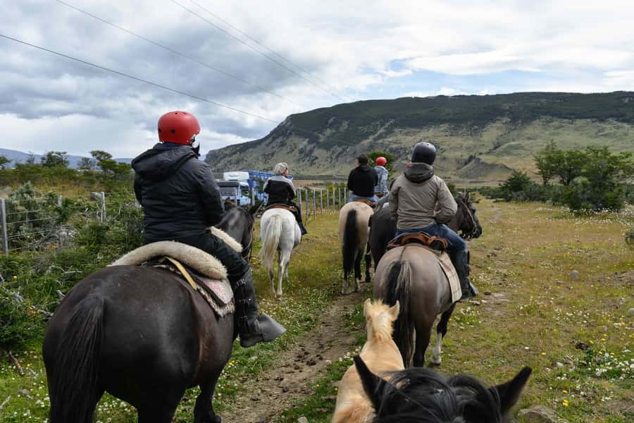 Puerto Natales: Horseback Riding to Dorotea Fjord Lookout - Three hours through forest and meadow
