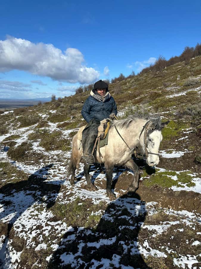 Puerto Natales: Horseback Riding to Dorotea Fjord Lookout - The Cerro Dorotea lookout is the payoff