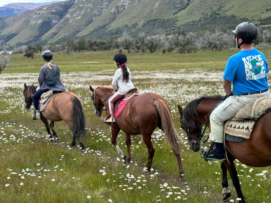 Puerto Natales: Horseback Riding with Horse Connection - Key points to know before booking