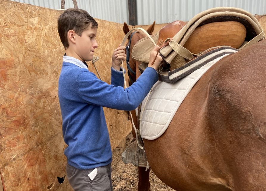 Puerto Natales: Horseback Riding with Horse Connection - Is Horse Connection Patagonia worth booking?