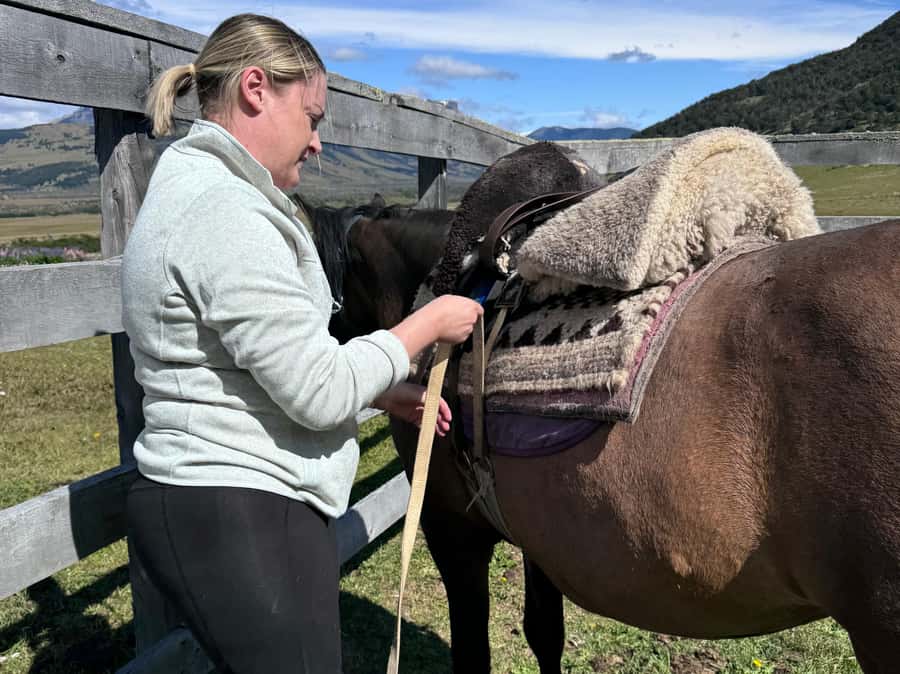 Puerto Natales: Horseback Riding with Horse Connection - The full-day ride adds a woodland picnic